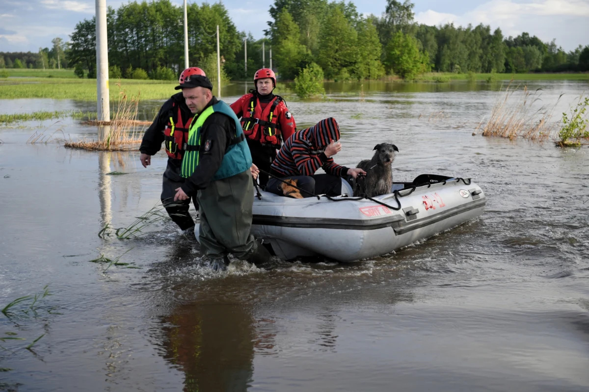 Pracownicy schroniska dla zwierząt w Borku koło Tarnowa proszą o wsparcie. Wczoraj sami ruszyli z pomocą i przygarnęli psy z zalanego schroniska w Wadowicach Dolnych na Podkarpaciu. 