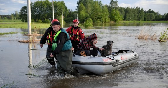 Pracownicy schroniska dla zwierząt w Borku koło Tarnowa proszą o wsparcie. Wczoraj sami ruszyli z pomocą i przygarnęli psy z zalanego schroniska w Wadowicach Dolnych na Podkarpaciu. 