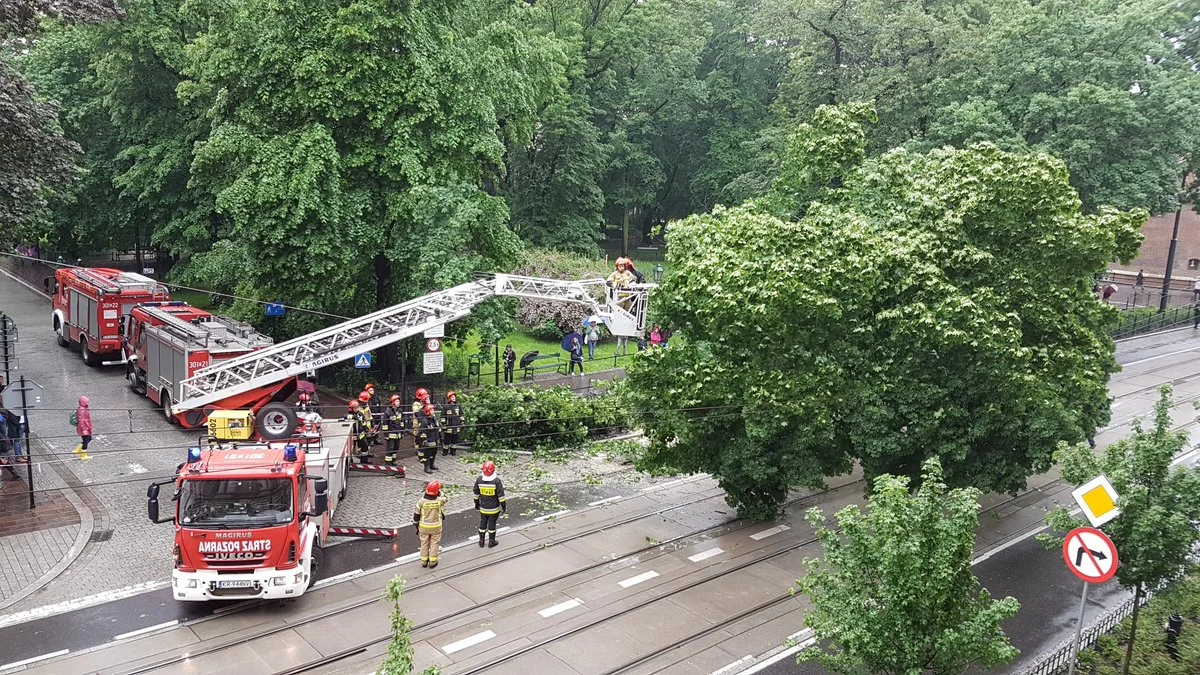 Sparaliżowany jest ruch w centrum Krakowa. Na ul. Basztowej na trakcję tramwajową i na jezdnię runęło drzewo. 