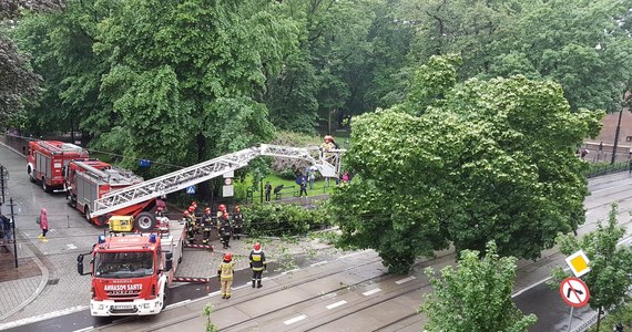 Sparaliżowany jest ruch w centrum Krakowa. Na ul. Basztowej na trakcję tramwajową i na jezdnię runęło drzewo. 