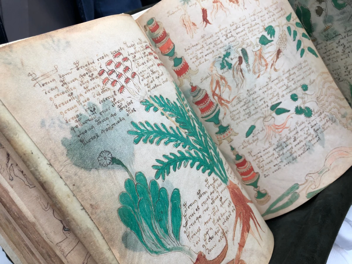 Prawie 9 tysięcy złotych. Tyle kosztuje kopia jednego z najbardziej sensacyjnych manuskryptów w historii, dostępna na Warszawskich Targach Książki. Chodzi o XV-wieczny Manuskrypt Wojnicza - od nazwiska Polaka, który go odnalazł, Michała Wojnicza. Do tej pory nie wiadomo, o czym jest ponad 200 stronicowa księga. Wciąż nie udało się rozpoznać języka, w jakim została napisana. 