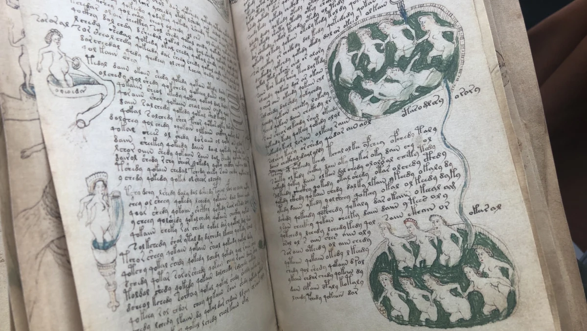 Na Warszawskich Targach Książki prezentowana jest kopia tzw. Rękopisu Wojnicza, sensacyjnego manuskryptu z początków XV wieku, zakupionego w roku 1912 przez polskiego antykwariusza Michała Wojnicza. Oryginał zagadkowego dzieła przechowywany jest na stałe w Bibliotece Ksiąg Rzadkich Uniwersytetu Yale. Wystawcy twierdzą, że dzięki tej doskonałej replice każdy może na własne oczy obejrzeć i zastanowić się, jaka treść może się kryć za niezwykłym pismem i rysunkami. 