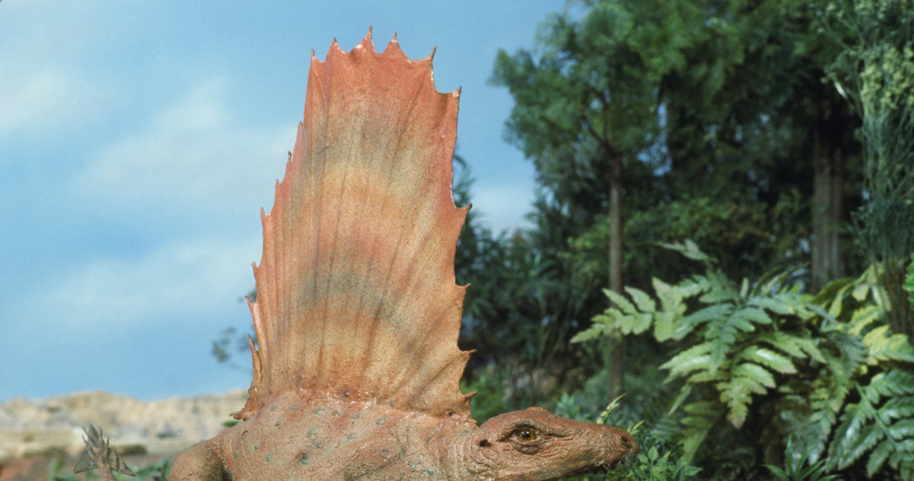 Seriale o dinozaurach, które warto znać - Świat Seriali w INTERIA.PL