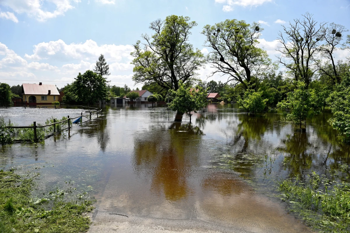 W woj. świętokrzyskim w związku z intensywnymi opadami deszczu obowiązuje 11 alarmów i 14 pogotowi przeciwpowodziowych. Służby przygotowują się do nadejścia fali wezbraniowej na Wiśle, która przekroczyła stany alarmowe na wszystkich wodowskazach. W pogotowiu są również służby na Lubelszczyźnie. Poziom wody w Wiśle w Lubelskiem przekroczył w niedzielę stany alarmowe w Annopolu i Puławach. W nadwiślańskich powiatach obowiązuje pogotowie przeciwpowodziowe. Sytuacja jest monitorowana.