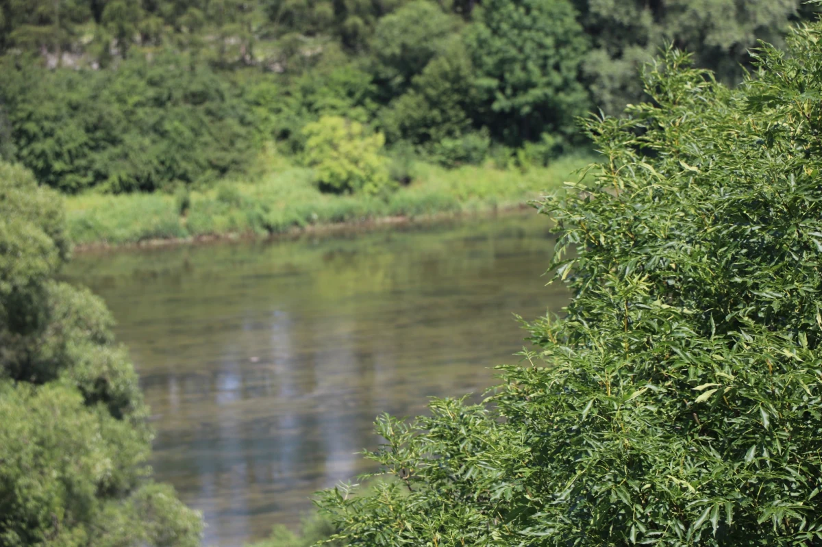 Tragiczne informacje z województwa śląskiego. Trzy osoby zginęły tam w nurtach wezbranych potoków i rzek. Do wypadków doszło w Koniakowie, Ustroniu i Drogomyślu.  