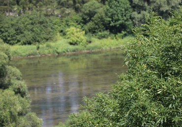 Śląskie: Trzy osoby zginęły w nurtach wezbranych rzek