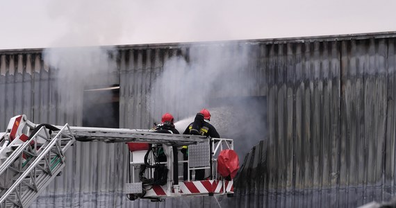 Nawet do środy może potrwać dogaszanie i akcja strażaków w miejscu pożaru zakładu produkującego mrożonki w Skórczu na Pomorzu. Od wczorajszej nocy strażacy walczą tam z ogniem. 