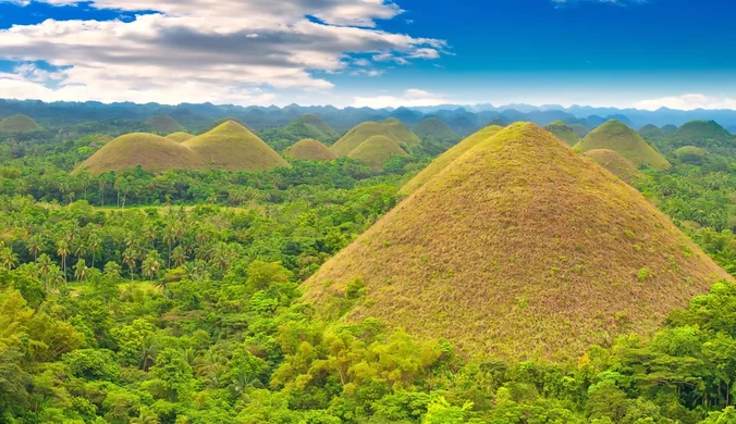 Ukończenie szkoły za zasadzenie drzew.Niezwykłe prawo wprowadzone na Filipinach
