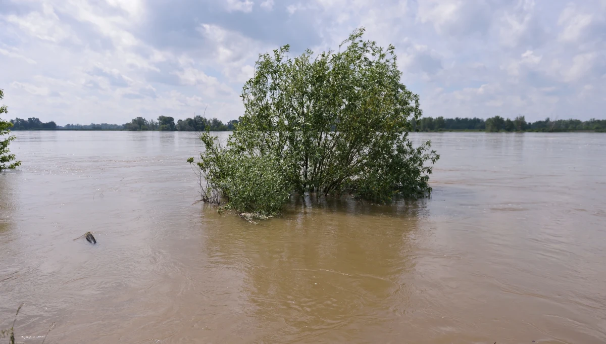 ​Drugi stopień zagrożenia hydrologicznego na Pomorzu. Woda może przekroczyć stan ostrzegawczy na dolnej Wiśle i w ujściu rzeki - ostrzega IMGW. W najbliższych dniach wezbrania wystąpią w dolnym biegu Wisły i Odry. Instytut odradza zbliżanie się wówczas do rzek. To bardzo groźny żywioł - podkreślono w komunikacie.