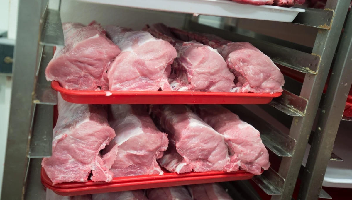 ​Pracownicy Ukrainy zatrudnieni u znanego producenta żywności na Śląsku zgłosili się na policję: walczą o zaległe pensje. Teraz twierdzą, że zastrasza ich agencja pośrednictwa pracy - informuje portal Onet.