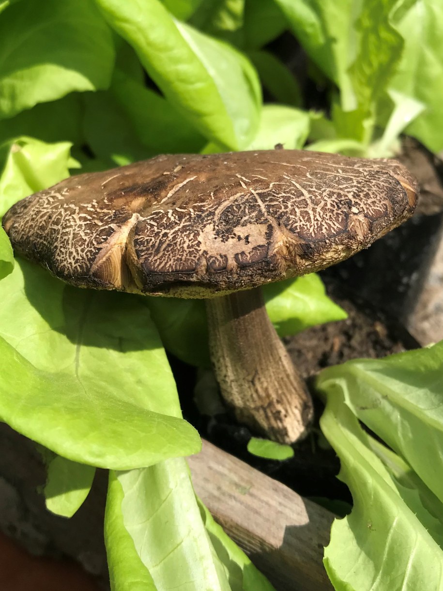 /Krzysztof Kot /RMF FM