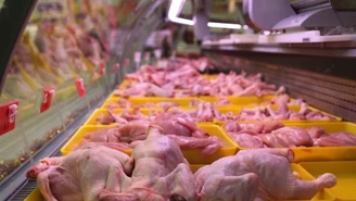 "Rz": Już milion wegetarian. Polacy rezygnują z mięsa