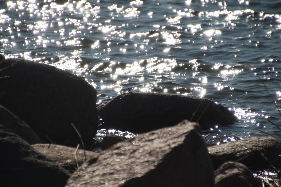 RCB: W weekend utonęło osiem osób