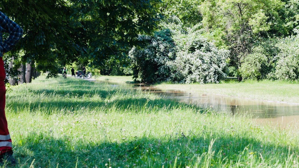 Awaria magistrali wodociągowej przy alei Waszyngtona w Warszawie. Pod chodnikiem w Parku Skaryszewskim pękła rura. Zagrożone zalaniem jest pobliskie torowisko tramwajowe. Na miejscu pracują już specjaliści z miejskich wodociągów.