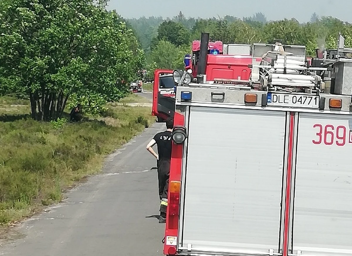 Pożar na terenie ośrodka szkolenia poligonowego wojsk lądowych w miejscowości Dobre nad Kwisą. Z ogniem walczy już kilkadziesiąt zastępów straży pożarnej.