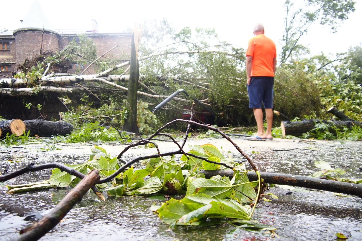 Nawałnice w czwartek przechodziły nad Pomorzem oraz nad woj. warmińsko-mazurskim. Silnie wiało i padało m.in. w rejonie Powiśla - informowaliście na Gorącą Linię RMF FM. Strażacy odbierali zgłoszenia m.in. o zerwanych liniach energetycznych. Połamane gałęzie blokowały też drogi. Rządowe Centrum Bezpieczeństwa wysłało ostrzegawcze SMS-y. Alert RCB trafiły do osób przebywających na terenie dwunastu województw. 