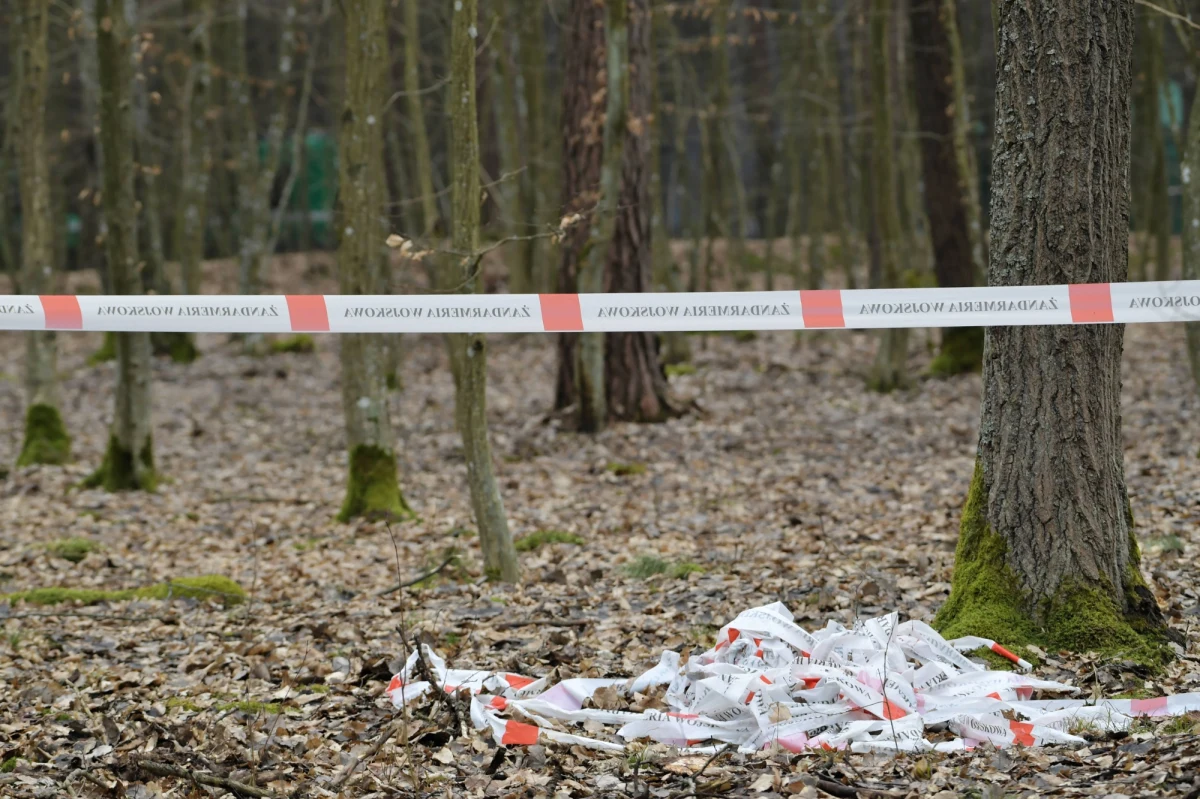 Polska Grupa Zbrojeniowa przyznaje: podlegające jej zakłady popełniły błąd w projekcie, który kosztował życie pilota MiG-29. Zakłady WZL-2 wykonały wadliwy element fotela katapultowego bez porozumienia z rosyjskim producentem - donosi Onet. 