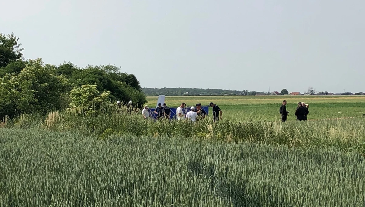 Tragedia podczas zawodów szybowcowych pod Ostrowem Wielkopolskim. Nie żyje pilot szybowca, który rozbił się w miejscowości Szczury.