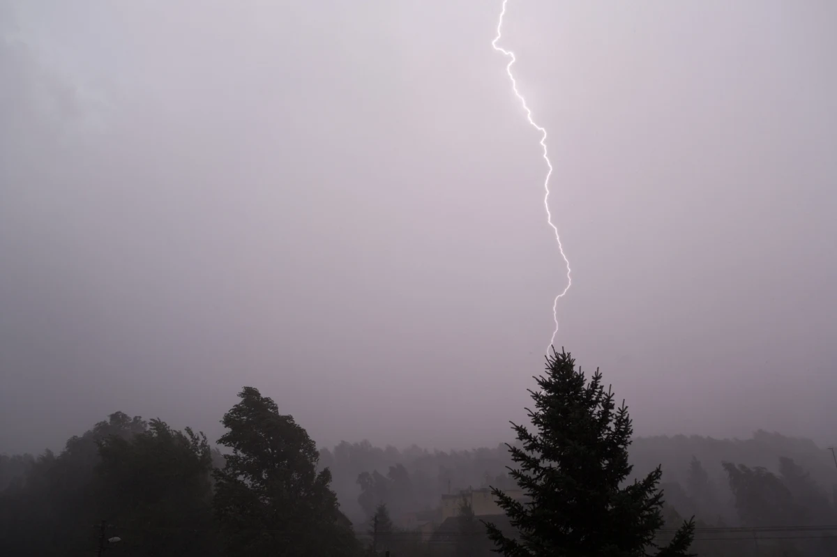 Ponad 300 razy interweniowali zachodniopomorscy strażacy, usuwając skutki silnego wiatru - głównie połamane gałęzie. Nie ma osób poszkodowanych.
