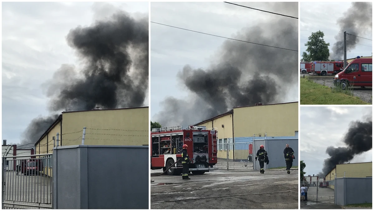 Trwa dogaszanie pogorzeliska po pożarze hal magazynowych w Jaworznie. Dwie z nich zawaliły się. Akcja strażaków może jeszcze potrwać kilka godzin. Informację o tym zdarzeniu dostaliśmy na Gorącą Linię RMF FM.
