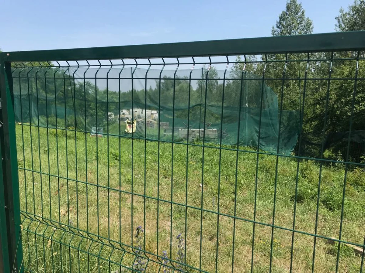 Po 300 zł kary grzywny otrzymali Norbert P. i  Rafał P. - dzierżawcy terenu na krakowskim Zakrzówku – za zniszczenie siedliska węża gniewosza plamistego. Wyrok jest prawomocny. „Jeżeli będziemy nagradzali, bo tak to trzeba nazwać, za zniszczenie siedliska, to oczywiście nikt się nie będzie żadną ochroną przyrody przejmował” – kwituje Mariusz Waszkiewicz prezes Towarzystwa na Rzecz Ochrony Przyrody w Krakowie.