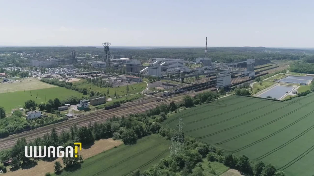 120 tysięcy ton niezaksięgowanego węgla, wartych nawet sto milionów złotych i inne, liczne nieprawidłowości miał wykazać wewnętrzny audyt w Jastrzębskiej Spółce Węglowej. Odpowiedzialny za raport Adam Milewski został dyscyplinarnie zwolniony z pracy. 