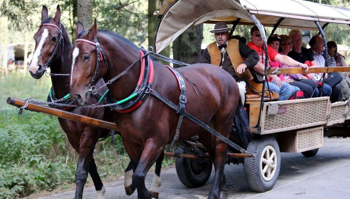 Mimo upałów konie nadal wożą turystów w kierunku Morskiego Oka. Pracownicy Tatrzańskiego Parku Narodowego zapewniają, że cały czas monitorują ich stan i dbają o to, by nie działa im się krzywda.