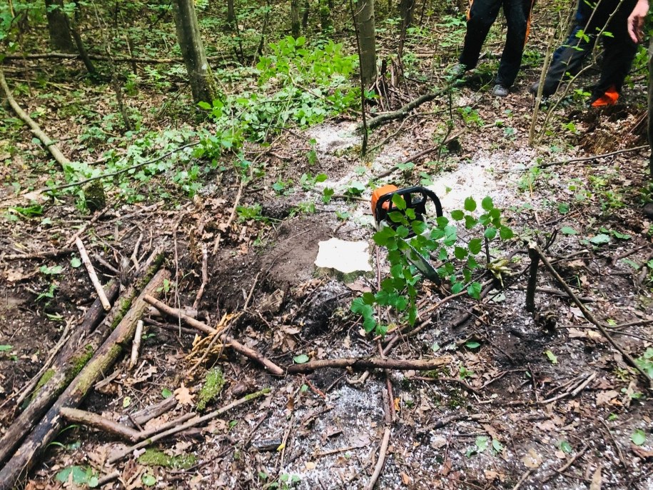 /Piotr Bułakowski /RMF FM