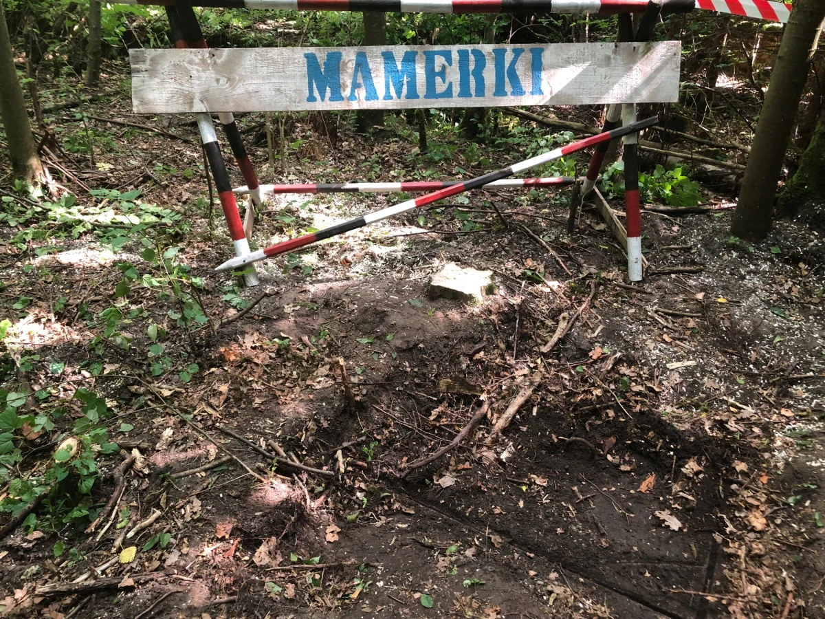 Dzisiaj dowiemy się, czy właz i tunel techniczny, znalezione niedawno w kompleksie bunkrów w Mamerkach koło Węgorzewa na Mazurach kryje coś ciekawego. Rosnące przy włazie drzewo i gruba warstwa ziemi wskazują, że to miejsce nie było otwierane od czasów II wojny światowej.