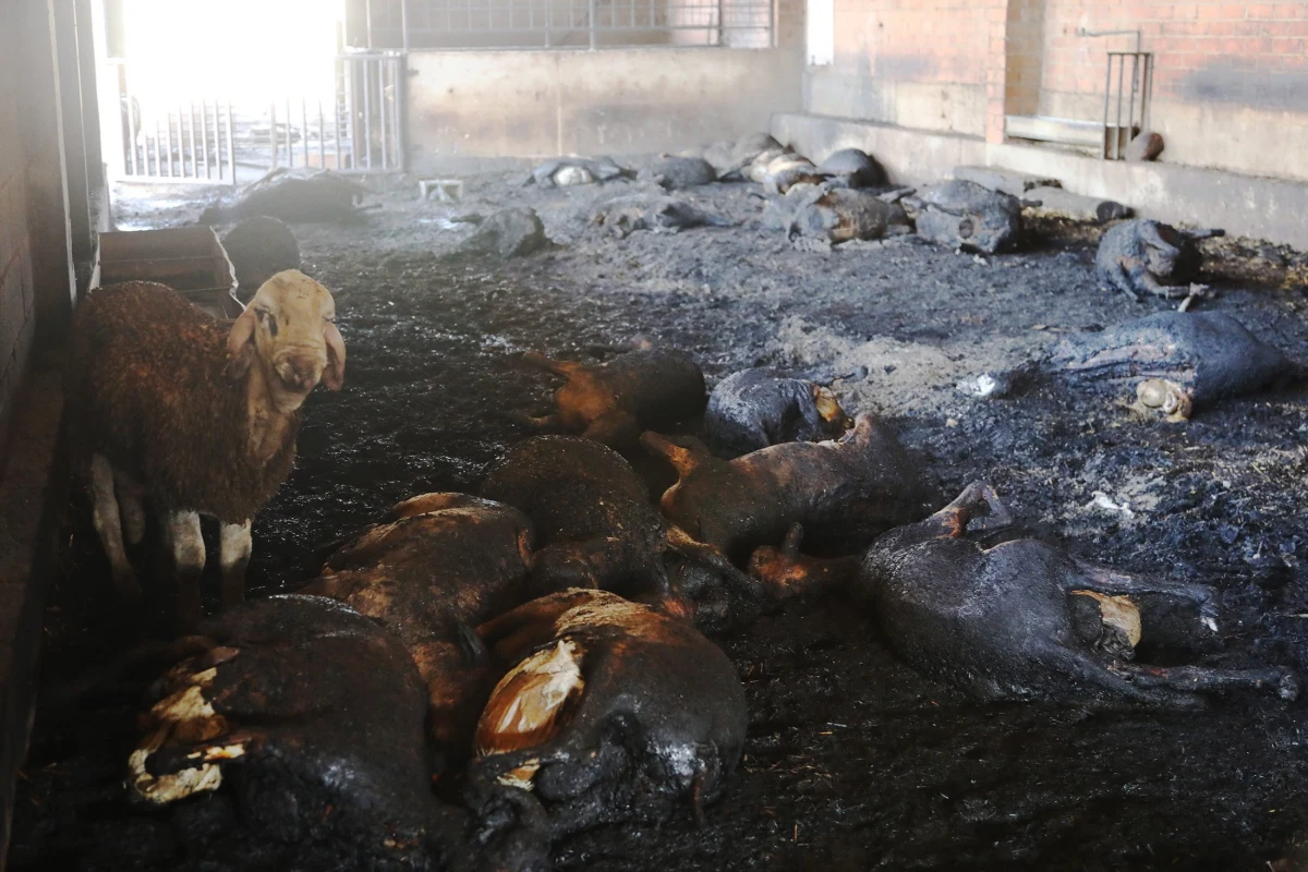 Ponad 500 strażaków walczy w czwartek od rana z dużym pożarem, który wybuchł na terenie katalońskiej prowincji Tarragona w północno-wschodniej Hiszpanii. Żywioł strawił przed południem prawie 6 tys. hektarów lasów i terenów rolnych.