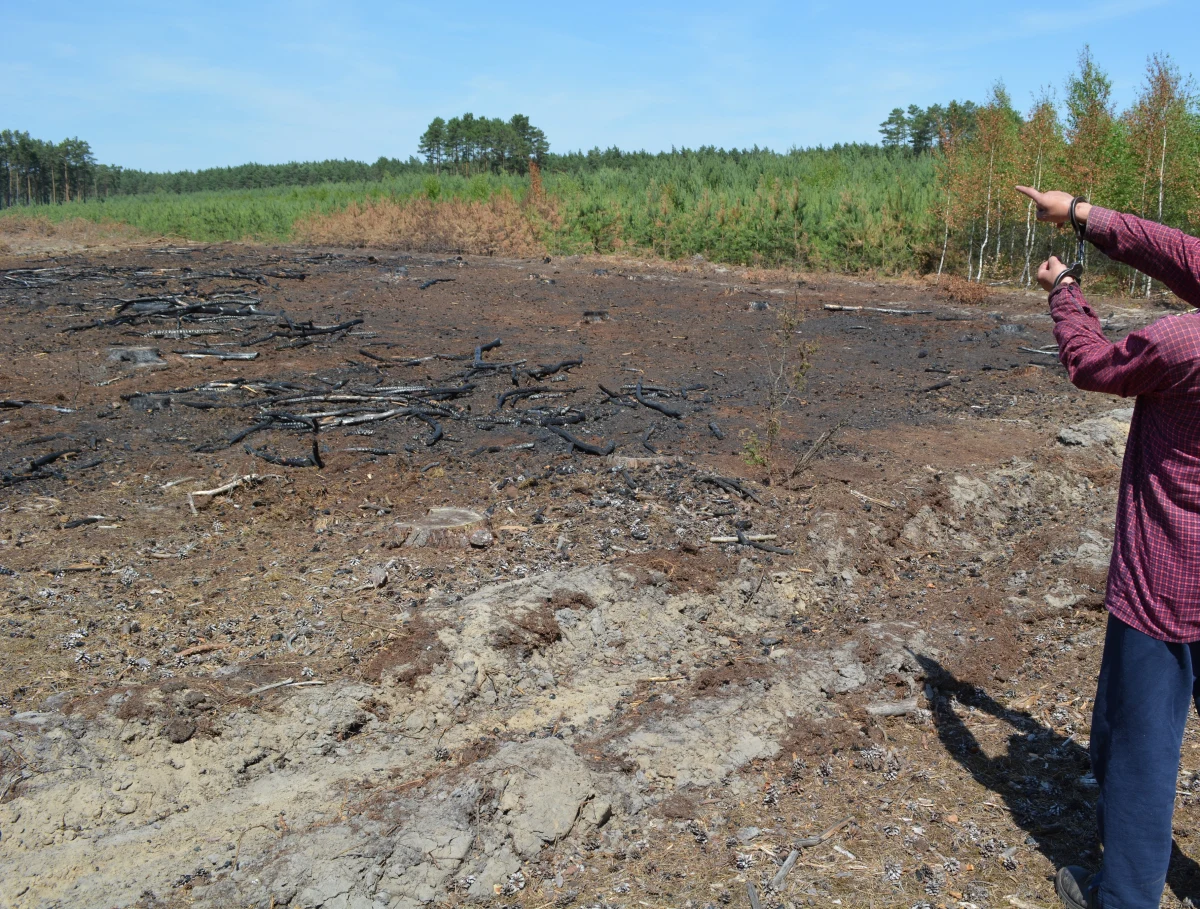 Policjanci z Szamotuł zatrzymali 41-letniego mieszkańca wielkopolskiej gminy Wronki, który jest podejrzany o spowodowanie 14 pożarów lasów. Łączna wartość strat poniesionych przez nadleśnictwa, razem z akcją gaśniczą, to ponad 140 tys. zł. Ogień strawił ponad 4 hektary lasu.