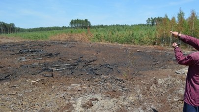 Miał spowodować 14 pożarów lasów. 41-latek zatrzymany