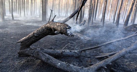 W całym kraju oprócz północno-wschodniej części woj. podlaskiego występuje średnie i duże zagrożenie pożarami w lasach - informuje Instytut Badawczy Leśnictwa. Najwyższy stopień zagrożenia jest w południowo-zachodniej części kraju.
