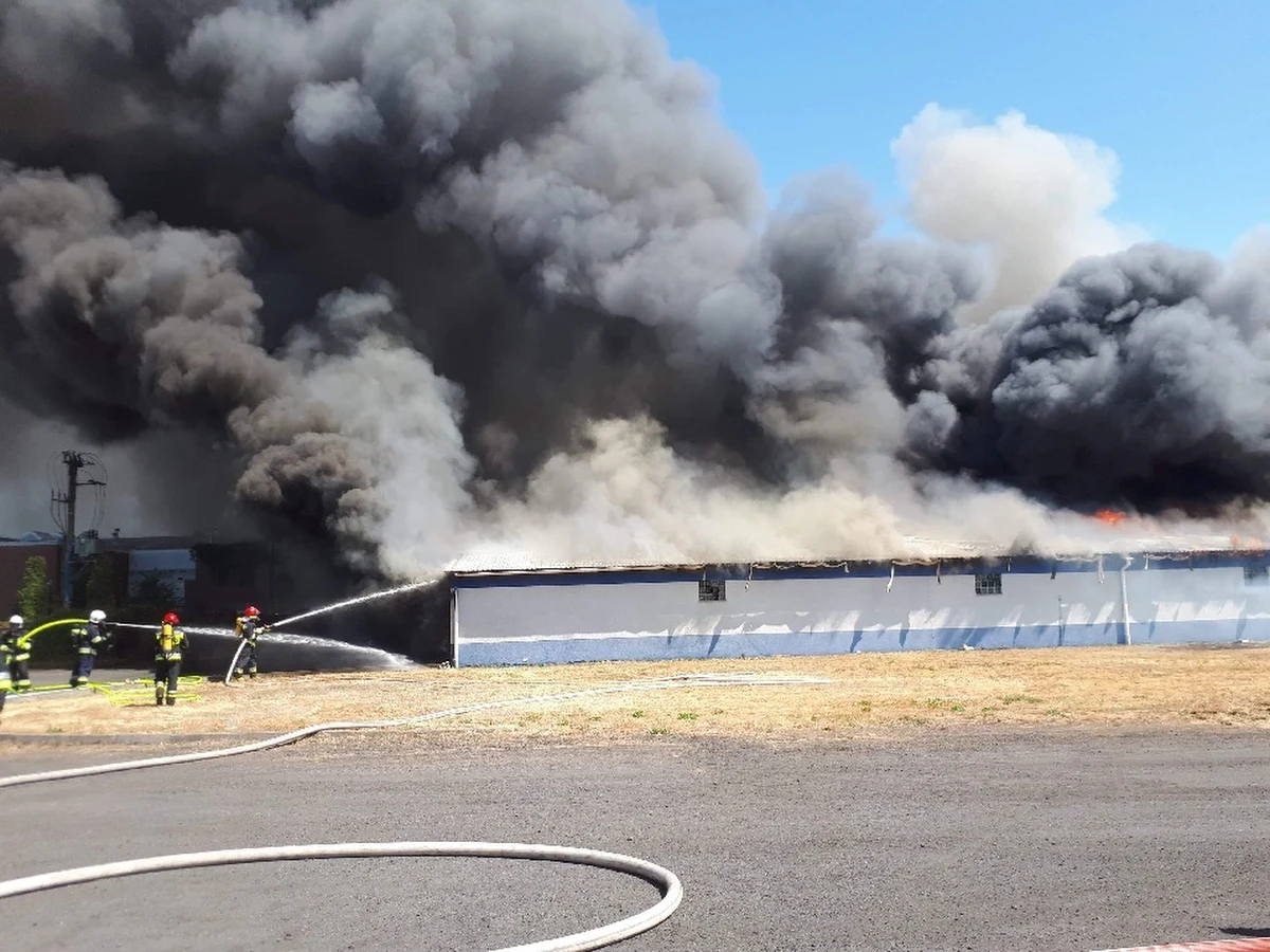 To był pracowity dzień dla wielkopolskich strażaków. Pod Poznaniem i koło Gostynia płonęło zboże, a w powiecie wolsztyńskim spłonęła hala produkcyjna.