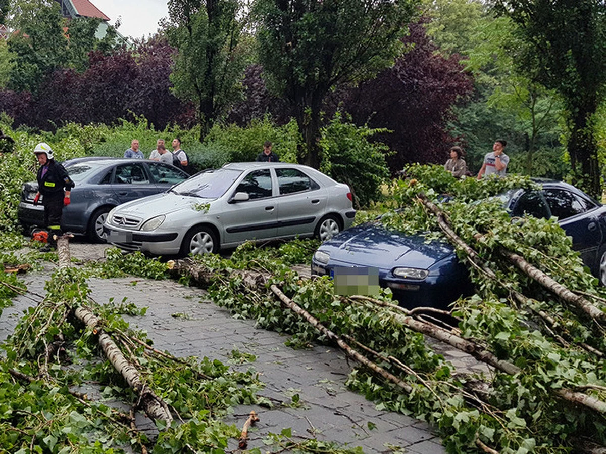 1 150 razy interweniowali strażacy w związku z burzami, które wczoraj przechodziły nad Polską. Z powodu nawałnic 26 tysięcy odbiorców zostało bez prądu.