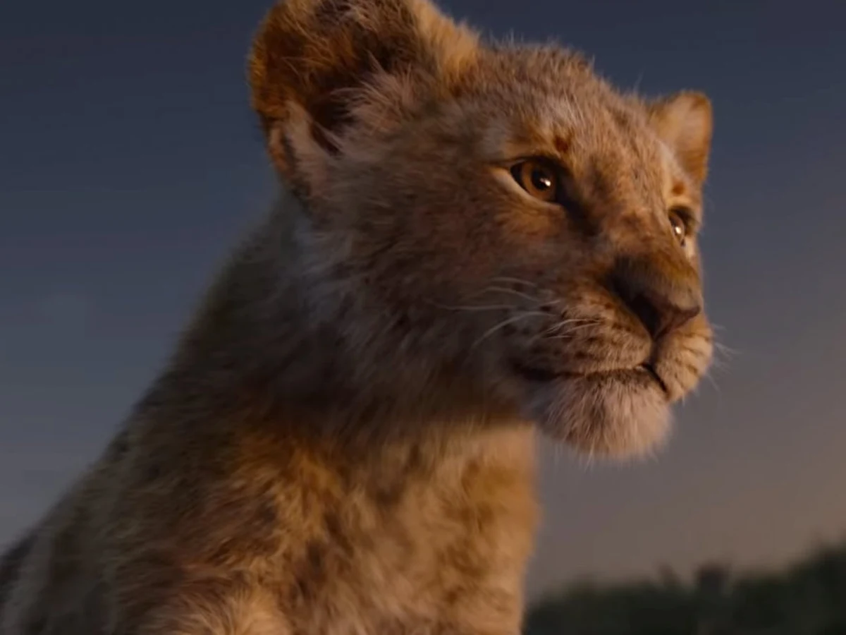 ​Powrót super-bohatera. Portret legendy piłki nożnej. Jeden z canneńskich hitów. Czy kultowa animacja w zupełnie nowej odsłonie. Mamy dobre wieści dla fanów dobrych filmów. Lipiec warto spędzić w kinie.