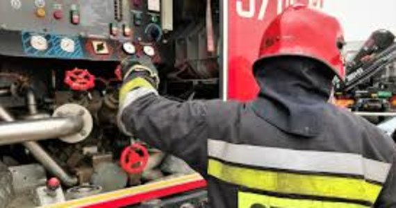 Strażacy walczyli z pożarem lasu w miejscowości Świerże Górne na Mazowszu, niedaleko elektrowni Kozienice. Spłonęło tam około 10 hektarów młodnika.