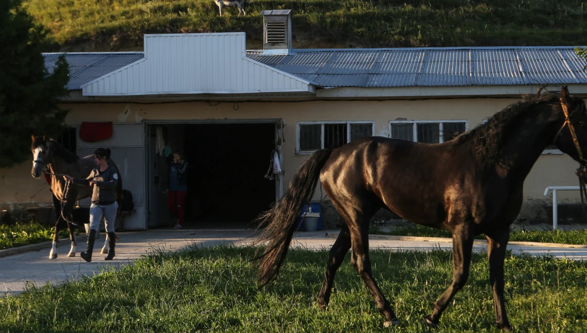 ​Praktykantka ze stadniny konia huculskiego w Regietowie trafiła do szpitala. Lekarze zawiadomili policję, że nastolatkę zgwałcił dyrektor stadniny. Jak informuje Onet, mężczyzna przeszedł po tym zdarzeniu na emeryturę, a sprawy unika kilka prokuratur.