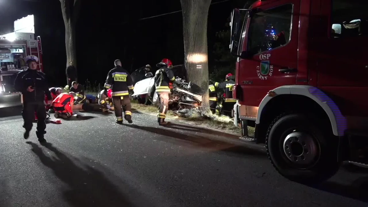 19-letnia kobieta i 21-letni mężczyzna zginęli w wypadku, do którego doszło w nocy w miejscowości Grzędy na Dolnym Śląsku. Samochód, którym jechały w sumie trzy osoby, zjechał z trasy i z impetem uderzył w drzewo.