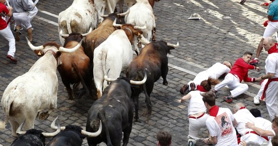 Jedna osoba została wzięta na rogi, a cztery inne zostały poszkodowane w drugiej gonitwie z bykami w Pampelunie. Gonitwa odbyła się na trasie 875 metrów i wiodła przez wąskie brukowane uliczki miasta. Coroczna fiesta na północy Hiszpanii odbywa się ku czci świętego Fermina.