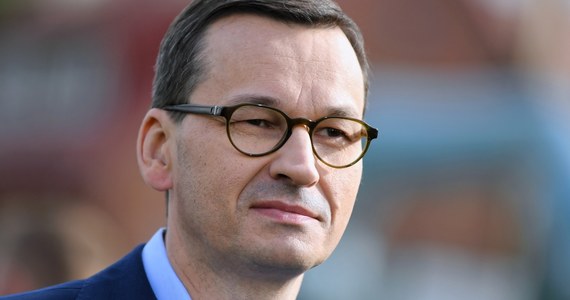 Pół miliarda drzew, które szumnie zapowiedział premier Mateusz Morawiecki, już rośnie. 500 milionów drzew to właśnie tyle, ile każdego roku sadzą Lasy Państwowe. Premier złożył więc obietnicę dawno spełnioną... albo zapowiedział podwojenie nasadzeń.