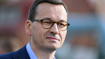 Morawiecki zapowiedział pół miliarda nowych drzew. Leśnicy: Nie ma gdzie ich posadzić