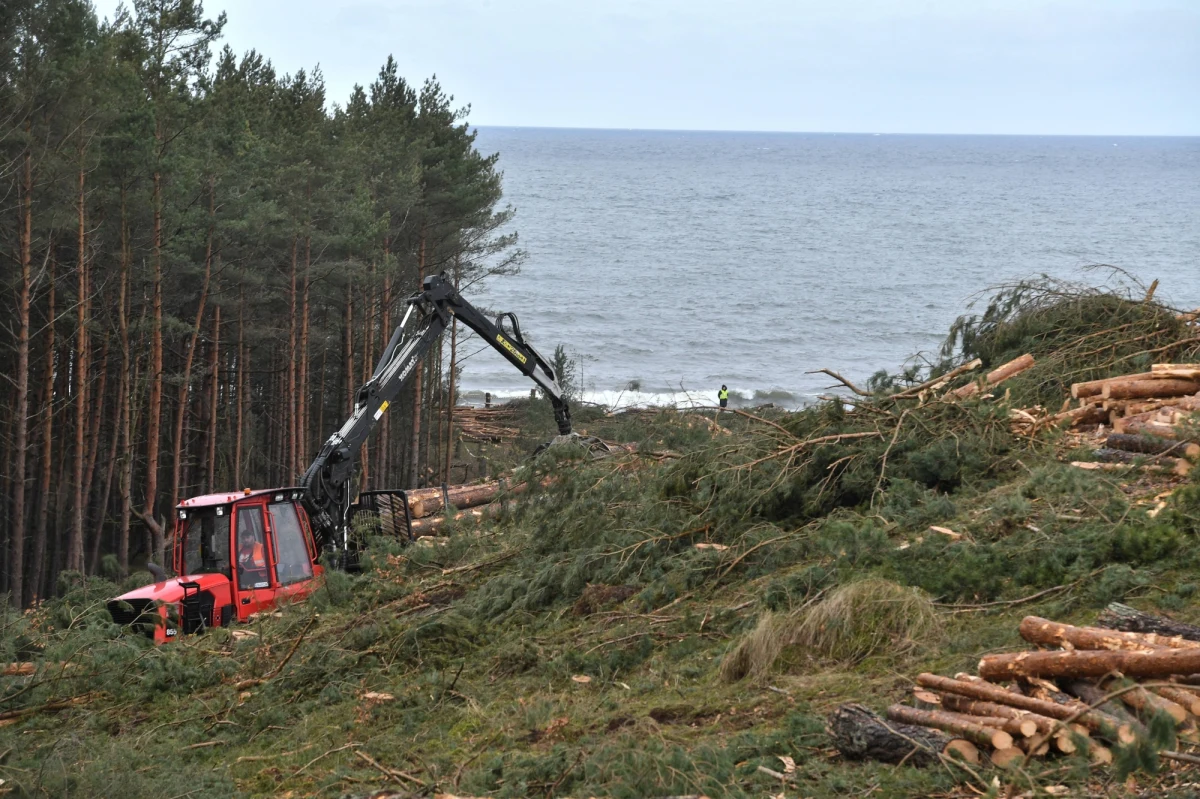 Generalna Dyrekcja Ochrony Środowiska wciąż - mimo upływu terminu - nie odpowiedziała na odwołanie pomorskiego samorządu od decyzji środowiskowej dla przekopu Mierzi Wiślanej. Trwa procedura wyłonienia wykonawcy tej strategicznej - według rządu - inwestycji, która budzi sporo kontrowersji i protestów. Także związanych z oddziaływaniem na środowisko właśnie. 