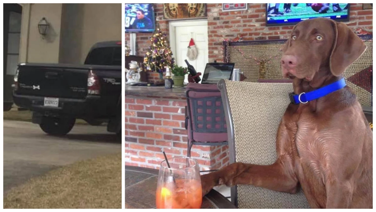 Podwójne nieszczęście przytrafiło się mężczyźnie z Luizjany, który wybrał się do sklepu po pączki. Złodziejka ukradła Davidowi Mohrowi samochód i przy okazji psa, którego właściciel zostawił w pojeździe.