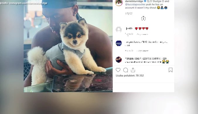 Daniel Sturridge okradziony! Porwano jego psa. Wideo