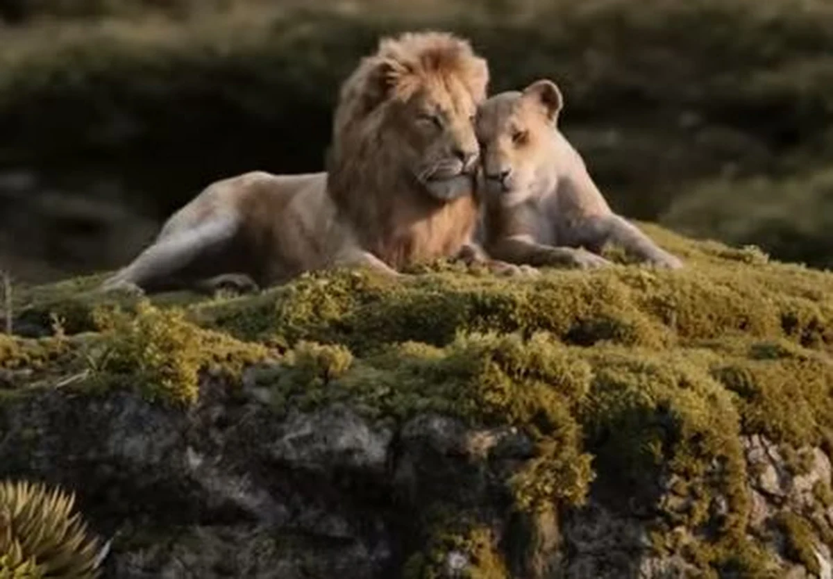 W Los Angeles odbyła się światowa premiera nowej wersji "Króla Lwa". Na czerwonym dywanie pojawili się Beyonce i Donald Glover, oboje dubbingują głównych bohaterów i śpiewają nową wersję piosenki "Can You Feel the Love Tonight".