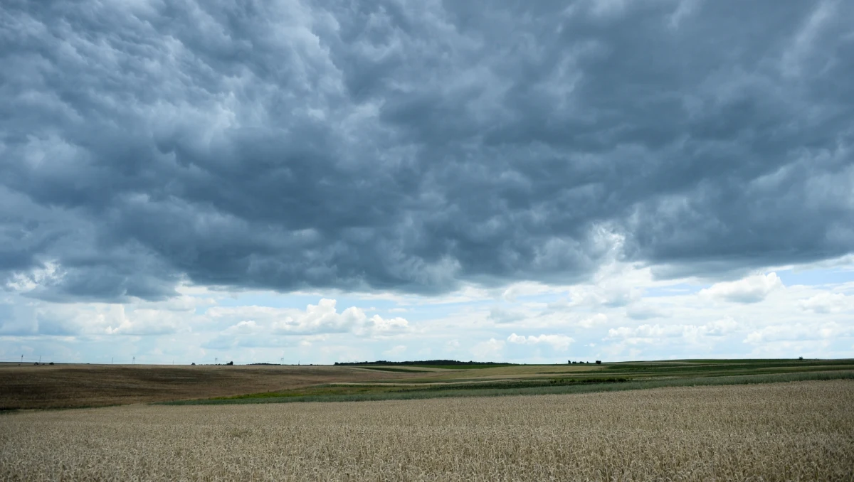 Pan Prezydent Andrzej Duda nie składa dziś wieńca wspólnie z rodzinami ofiar UPA i SS Galizien. Pod pomnik przybywa dokładnie w tym samym czasie, gdy rodziny są na mszy św. w katedrze polowej. Uporczywie też Małopolskę Wschodnią nazywa Galicją Wschodnią, co jest sprzeczne z prawdą. Co więcej, na jego wniosek Trybunał Konstytucyjny wykreślił słowa "Małopolska Wschodnia" i "nacjonaliści ukraińscy" z ustawy o IPN. Z kolei kolejni premierzy, tak Donald Tusk, jak i Beata Szydło i Mateusz Morawiecki, nie zrobili nic, aby zgodnie ze składanymi obietnicami i deklaracjami pochować wreszcie ofiary ludobójstwa.