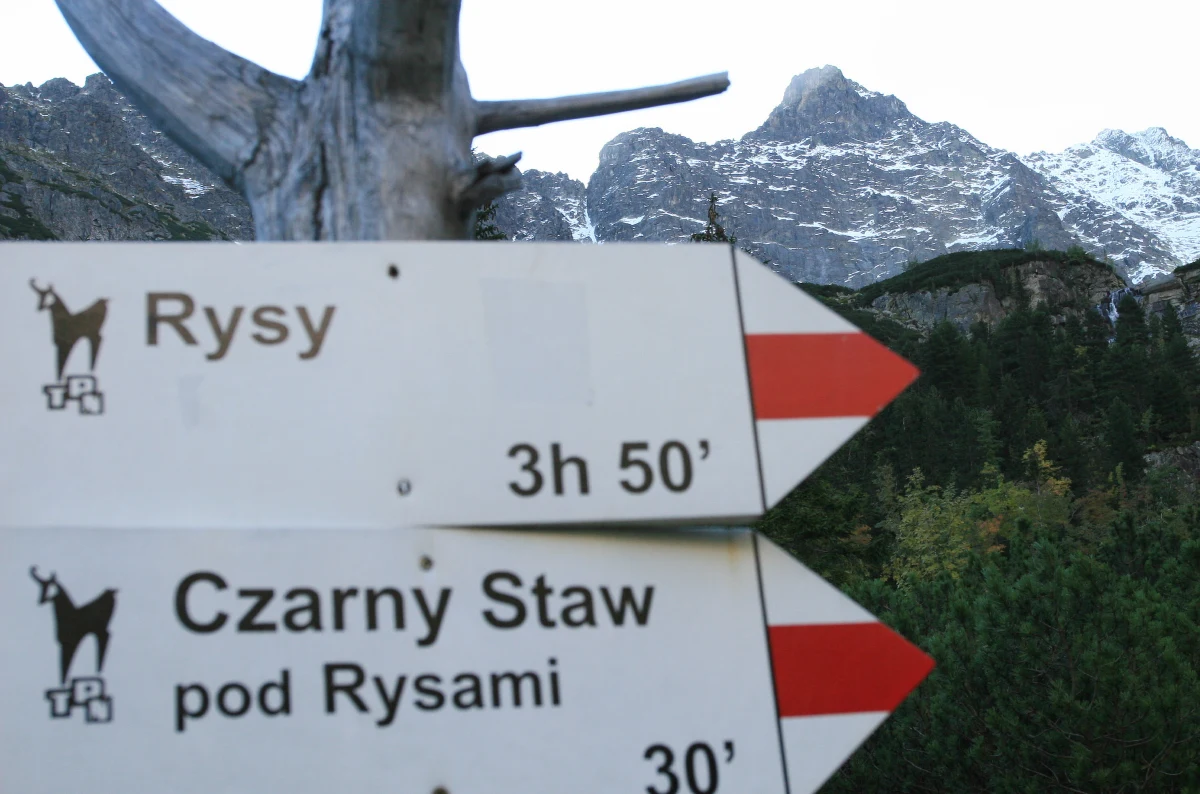 W mediach społecznościowych prawdziwe poruszenie robi post, w którym turysta skarży się na to, że wszedł na Rysy, a tam nie było żadnych oznaczeń i zszedł na słowacka stronę. Musiał zapłacić za hotel i taksówkę, która przywiozła go do Polski. Teraz szuka instytucji, która pomoże mu uzyskać odszkodowanie.