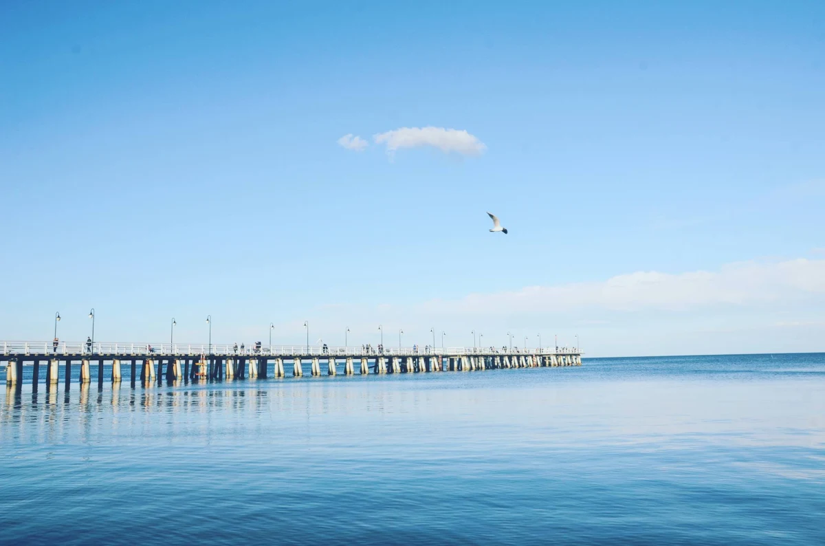 Otwarto już pięć kąpielisk położonych nad Zatoką Gdańską zamkniętych wcześniej z powodu sinic, które pojawiły się w przybrzeżnych wodach. 