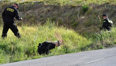 Czy zaginiony Dawid został wywieziony do Rosji? Jest komentarz rzecznika KGP